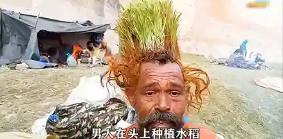 印度苦行僧 头上种植水稻