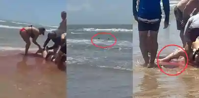 现实版大白鲨 美国德州南帕德里岛海滩发生大白鲨咬人事件 多人被咬伤 一名女子的半条腿被咬断