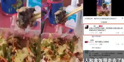 重庆秀山县中医院被曝食堂盒饭中吃出老鼠头 难道这次又是鸭头？