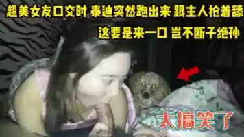 超美女友口交时 泰迪冲过来一起舔鸡巴真逗