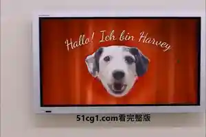 #收容所 狗狗的卖相不大好 不容易被看上 工作人员为它拍了一条 #广告片